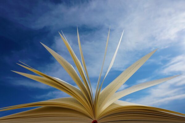 libri lettura