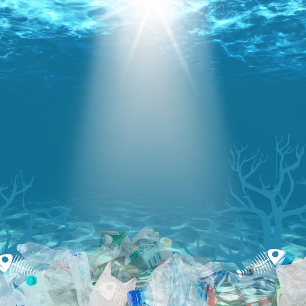 plastic-waste-7617454_1280