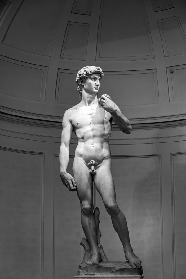 david-4660056_1280