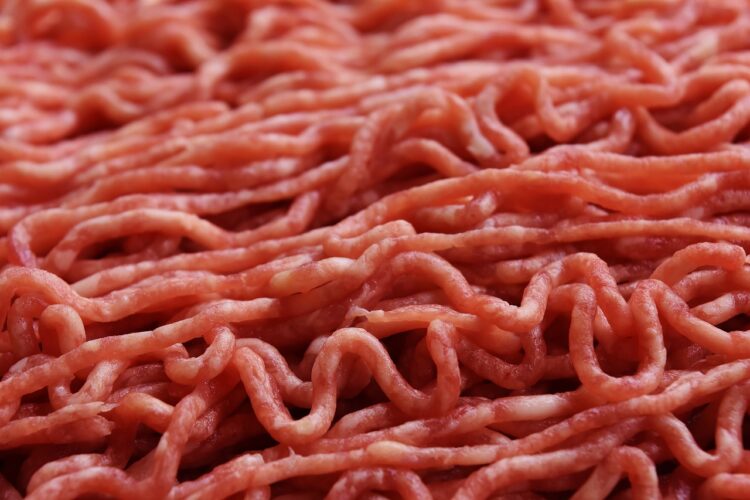 Il Governo Italiano vuole vietare la “carne artificiale”