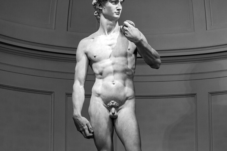 David di Michelangelo pornografico?